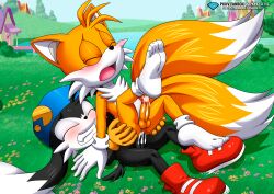 cum_in_ass cum_inside klonoa klonoa_(series) male/male male_only no_humans orgasm palcomix sonic_(series) sonic_the_hedgehog_(series) tails