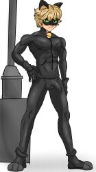 adrien agreste from miraculous ladybug
