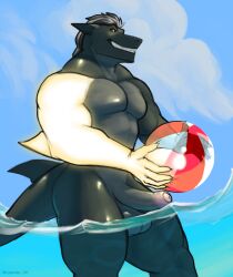 absurd_res anthro ball balls beach beach_ball biceps cloud dragon fish foreskin genitals glowing glowing_arm glowing_eyes half-erect hi_res humanoid_genitalia humanoid_penis hybrid inflatable leander_dk leander_dk_(artist) looking_away male marine muscular muscular_anthro muscular_male muscular_thighs partially_submerged pecs penis seaside shark sky smile smirk solo tail water