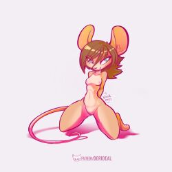 2023 animal_tail anthro black_nose blue_eyes breasts brown_hair colored derideal digital_drawing_(artwork) digital_media_(artwork) ears_up english_text female hair hi_res icon kiaun letters looking_away mammal mouse murid murine pixi_(derideal) rodent shaded shadow signature simple_background smile smirk solo symbol text url white_background