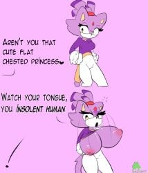 blaze the cat from sonic (series) by castinly