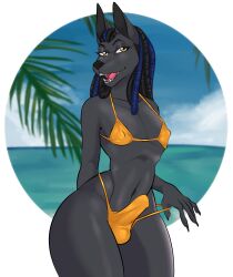 anthro anubian_jackal balls_outline beach bikini bikini_bottom bikini_pull bikini_thong bikini_top bulge canid canine canis child_bearing_hips clothed clothing clothing_pull crossdressing deadman_joe_velasquez detailed_background detailed_bulge dreadlocks erection erection_under_clothing femboy femboy_focus femboy_only femboysub feminine feminine_body feminine_male feminine_pose genital_outline girly hi_res jackal male male_focus male_only mammal nipple_outline penis_in_panties penis_outline public seaside skimpy_bikini solo string_bikini swimwear swimwear_pull tagme tenting thick_thighs water wide_hips yuuneechan801