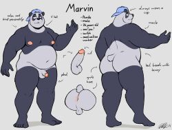 2023 absurd_res anthro anus ass balls baseball_cap bear belly circumcised clothing eye_markings fiercedeitylynx fur genitals giant_panda hat headgear headwear hi_res humanoid_genitalia humanoid_penis male male_only mammal markings marvin_(fiercedeitylynx) model_sheet moobs multicolored_body multicolored_fur nipples nude overweight overweight_male penis solo