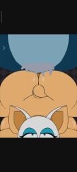 Sonic (Series) Rule 34 Video