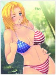 American Flag Rule 34 Image