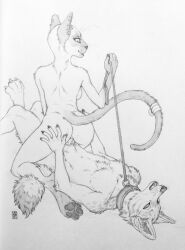 2017 4_toes 5_fingers accessory anthro anthro_on_anthro anthro_penetrated anthro_penetrating anthro_penetrating_anthro breasts canid canine canis cheek_tuft chest_tuft claws collar coyote crotch_tuft domestic_cat facial_tuft feet felid feline felis female female_on_top finger_claws fingers furgonomics hand_on_butt hi_res inner_ear_fluff kneeling kojote leash leash_pull leashed_collar looking_at_another looking_back looking_back_at_another looking_back_at_partner male male/female mammal meezer monochrome navel neck_tuft nude on_bottom on_top pawpads penetration penile penile_penetration penis_in_pussy reverse_cowgirl_position sex shinigamigirl siamese side_boob signature simple_background tail tail_accessory tailband toe_claws toes traditional_media_(artwork) tuft vaginal_penetration vaginal_penetration whiskers