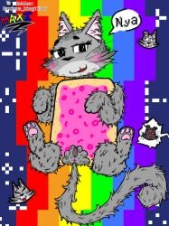 bubble_text feline female feral fur furry male nyan_cat pussy tac_nayn text watermark