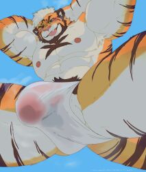 2023 abs anthro bao_xiao_bao beard biceps blue_background blue_eyes blush brown_hair brown_stripes bulge chest_markings clothing facial_hair felid fur hair hand_behind_head hi_res looking_at_viewer low-angle_view male mammal markings merfiller muscular muscular_anthro muscular_male muscular_thighs orange_body orange_fur pantherine pecs shaded simple_background simple_shading solo striped_body striped_fur stripes tan_body tan_fur tan_hair tiger tongue tongue_out triceps underwear white_clothing white_underwear