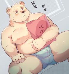 2020s 2023 anthro balls_outline bear belly big_belly blush bulge clothing genital_outline hi_res humanoid_hands japanese_text jugo_kumagai kemono male mammal overweight overweight_male penis_outline pillow polar_bear shimo_kawa sitting solo text underwear ursine virtual_youtuber vtuber