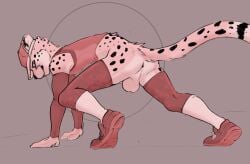 anthro armwear ass balls bedtime_buck bottomless bottomless_male cheetah clothed clothing felid feline footwear furgonomics genitals hat headgear headwear knee_pads male mammal perineum raised_tail raj_(bedtime_buck) shoes smile sneakers socks solo spots spotted_body tail topwear