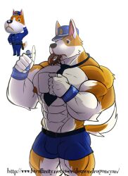 akita akita_inu animal_crossing anthro canid canine copper_(animal_crossing) demondragoncyan domestic_dog donut fan male_only muscular muscular_male nintendo