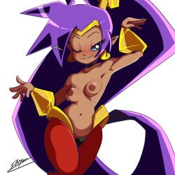 Shantae (Character) Rule 34 Image