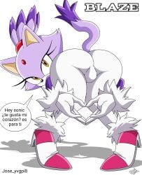 Sonic (Series) Rule 34 Image