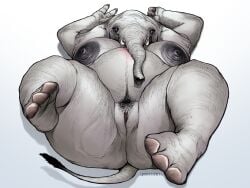 3_fingers absurd_res anthro band1tnsfw belly big_belly big_ears body_hair breasts dark_eyeshadow dark_nipples darkened_genitalia darkened_pussy digital_drawing_(artwork) digital_media_(artwork) elephant elephant_toes elephantid female female_anthro female_focus fingers genitals glistening glistening_body grey_body grey_skin hands_behind_head happy_trail hi_res jodie_hughes_(band1tnsfw) legs_up lying mammal on_back orange_eyes overweight overweight_anthro overweight_female pinup pose pregnant pregnant_anthro pregnant_female presenting presenting_belly presenting_breasts presenting_pussy proboscidean proboscis_(anatomy) pussy simple_background solo spread_legs spreading stretch_marks trunk_(anatomy) tusks vein veiny_breasts white_background