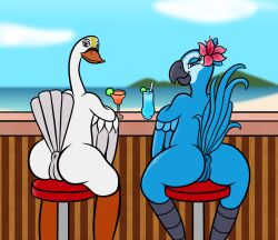 20th_century_fox 20th_century_studios anatid anseriform anserinae anthro anthrofied anus ass avian bar bar_stool beach beak beverage bird blue_body blue_sky_studios detailed_background duo feathers female flower furniture genitals jewel_(rio) looking_at_viewer looking_back macaw neotropical_parrot new_line_cinema parrot plant princess_odette pussy rio_(series) sea seaside sharkinwaves sitting smile stool swan the_swan_princess true_parrot water white_body wings