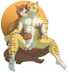 abs absurd_res anthro balls barefoot bear biceps brown_bear casual_erection casual_nudity deltoids duo erection feet felid feline fur genitals hi_res humanoid_genitalia humanoid_hands humanoid_penis juuichi_mikazuki looking_at_another male male/male mammal morenatsu muscular muscular_anthro muscular_male nipples nude pantherine pecs penis rocky_the_rookie simple_background tiger torahiko_(morenatsu) ursine