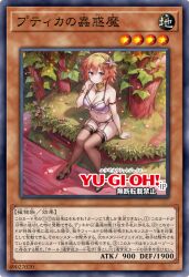 duel monster from yu-gi-oh!
