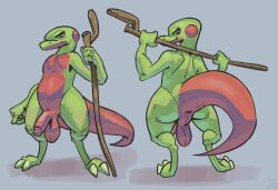 anthro anus ass balls genitals green_body halo-pano hi_res lizard looking_at_viewer looking_back male penis presenting presenting_hindquarters raised_tail red_penis reptile scalie simple_background solo stick tail