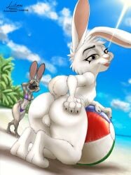 absurd_res anthro ass ball balls beach beach_ball big_butt bikini blue_sky bottom_heavy camera claws clothing disney duo female flat_chested fur genitals girly hi_res inflatable judy_hopps lagomorph leporid link6432 male male/female mammal multicolored_body multicolored_fur nude nude_male rabbit seaside sky swimwear tail texi_(yitexity) thick_thighs tongue tongue_out two_tone_body two_tone_fur white_body white_fur zootopia