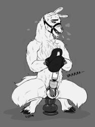 anal anal_masturbation anal_sex anthro ball_gag bodily_fluids camelid chastity_cage chastity_device dildo dildo_in_ass dildo_insertion dildo_sitting drooling gag hi_res hitachi_magic_wand hooves junkieboi llama looking_pleasured male male_only mammal masturbation millma_(lordzylok) mitts object_in_ass penetration saliva sex_toy sex_toy_in_ass sex_toy_insertion solo vibrator wand_vibrator