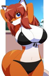 anthro armpits becky_box bikini fox kojiro-brushard tagme