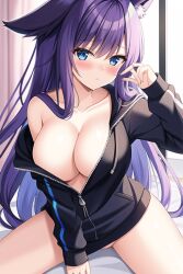 ai_generated ai_hands blue_eyes blush bottomless fenthefox furry_ears hoodie_only purple_hair raine unzipped_jacket