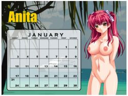 12girls 6+girls animated ass breasts calendar_(medium) covering_crotch drill_hair female female_only glasses hair_bun january_(month) large_breasts long_hair medium_breasts meet_'n'_fuck_games meet_and_fuck multiple_girls navel nipples nude nude_female ponytail pussy short_hair slideshow tanline twintails