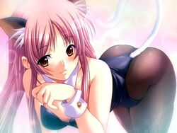 animal_ears bent_over blush breasts brown_eyes cat_ears catsuit clothing color dungeon_crusaderz dungeon_crusaderz_(series) erika_rouleburg female game_cg kittysuit long_hair m&m_(mickey_and_mackey) pantyhose pink_hair smile tail tights wink wrist_cuffs