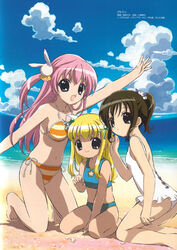 animal_ears beach bikini blonde_hair brown_eyes brown_hair cat_ears cloud misha mizugi multiple_girls pink_hair pita_ten ponytail red_eyes shia_(pita_ten) swimsuit tied_hair uematsu_koboshi