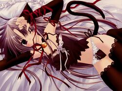 animal_ears bed bell cat_ears elbow_gloves gloves panties pointy_chin pure_pure raspberry_dream ribbon sakurazawa_izumi tail thighhighs tobari tobari_(pure_pure) underwear wallpaper