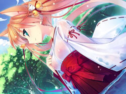 animal_ears aqua_eyes bell cat_ears copyright_request hair_ribbon hakama himukai_kyousuke japanese_clothes miko pink_hair ribbon see-through tied_hair tree twintails wet