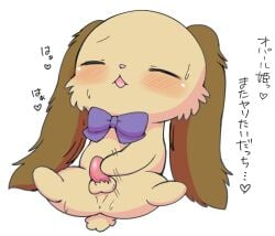 anthro anus azuo balls blush bodily_fluids bow_ribbon brown_body brown_fur closed_eyes domestic_rabbit fur genitals hi_res io_(jewelpet) japanese_text jewelpet lagomorph leporid lop_rabbit male mammal masturbation oryctolagus penile penile_masturbation penis perineum rabbit sanrio simple_background solo sweat tapering_penis text translation_request white_background