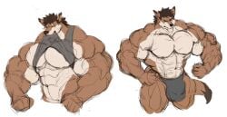 abs anthro_male ariswuffo biceps brown_hair bulge canine hair male muscles muscular muscular_anthro muscular_arms muscular_legs muscular_male muscular_thighs pecs speedo tail