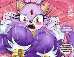 blaze_the_cat female groping groping_breasts male male/female sega silver_the_hedgehog sonic_(series) sonic_the_hedgehog_(series) tagme zaicomaster14