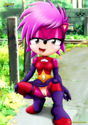 sonia the hedgehog from sonic (series) by bbmbbf