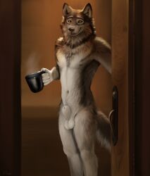 alaskan_malamute animal_genitalia animal_penis anthro balls brown_body brown_fur canid canine canine_genitalia canine_penis canis casual_nudity djano domestic_dog fully_sheathed fur fuzzy_balls genitals hi_res holding_mug holding_object hybrid looking_at_viewer male mammal mug navel nipples nordic_sled_dog nude open_mouth penis sheath smile smiling_at_viewer solo spitz tail white_body white_fur wolf wolfdog