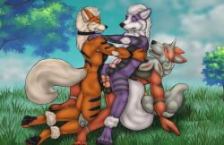 animal_genitalia arcanine double double_penetration female furry generation_1_pokemon group group_sex hisuian nintendo penetration pokemon pokemon_(species) sex threesome