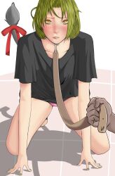 1girls animal_tail black_shirt blush brown_eyes clothed clothing collar colombian donkey_tail female female_focus flat_chest freckles green_hair green_nails hispanic hispanic_virtual_youtuber indie_virtual_youtuber latam_virtual_youtuber light-skinned_female light_skin logx no_pants on_all_fours partially_clothed pink_panties ryumi ryumivt short_hair small_breasts twitch twitch.tv virtual_youtuber vtuber yellow_eyes youtube youtube_hispanic