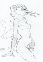 2017 avian beak bird breasts closed_eyes female finger_fuck fingering hummingbird masturbation nude ruaidri sketch solo vaginal_penetration wings