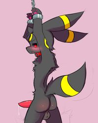 ambiguous_gender ass balls blush bondage bound canine_penis chains eeveelution erection fur furry_ears furry_tail keron male_only nintendo penis pokemon pokemon_(species) precum pvt._keron red_eyes shy solo tail umbreon video_games