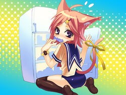 animal_ears buruma cat_ears cat_tail cute duplicate error fish hair_ornament hairclip mouth_hold nekomimi original oryou pink_hair purple_eyes red_hair refrigerator ribbon school_uniform serafuku short_hair tail thighhighs wariza