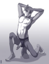 1boy anthro barefoot canine coyote erection front_view furry kannos kneeling male male_only model monochrome nipples no_humans penis solo topless underwear vein