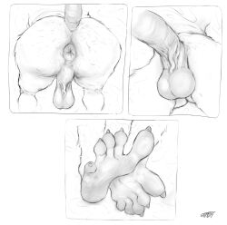 5_toes absurd_res anthro anus ass backsack balls barefoot big_balls big_penis black_and_white butt_shot close-up crimetxt didelphid digital_media_(artwork) erection faceless_character faceless_male feet foot_fetish foot_focus fur fylk genital_focus genitals hairy hi_res humanoid_feet humanoid_genitalia low-angle_view male male_only mammal marsupial monochrome multiple_images nude penis plantigrade presenting presenting_hindquarters pubes raised_tail rear_view saggy_balls simple_background soles solo spread_toes tail toes virginia_opossum