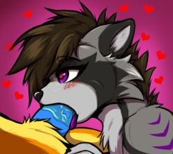 <3_eyes blowjob_face blue_penis brown_hair canid canine fellatio fur genderfluid genitals grey_body grey_fur hair heart kvn_poulsen mammal oral penile penis procyonid purple_eyes raccoon raccoon_dog sex shapeshifter siggioi tanuki yellow_body yellow_fur