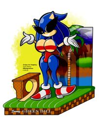 bulge flashpoint_gear_(artist) genderbent high_heels huge_ass huge_breasts knick_knack permanent_smile slim_waist sonic_(series) sonic_the_hedgehog sonique_the_hedgehog sunglasses sunnification thick_thighs wide_hips