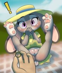 absurd_res anthro ass blush bottomless bottomwear clothed clothing disney duo feet female furnut genitals grey_body hat headgear headwear hi_res judy_hopps outside purple_eyes pussy skirt spread_legs spreading zootopia