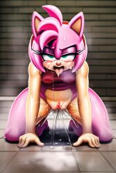 amy rose from sonic (series)