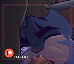 ambiguous_gender blue_body blue_fur cropped domestic_cat duo felid feline felis fellatio feral fur katastrophicabsol male mammal oral patreon patreon_logo penile sex warriors_(cats)