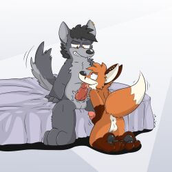 absurd_res anthro anus aroused ass balls bed blue_background bodily_fluids canid canine canis dripping duo excited eyes fox fur furniture genitals grey_body grey_fur grin hi_res kneelin licking male male/male mammal masturbation narrowed_eyes on_bed oral orange_body orange_eyes orange_fur penile penis penis_lick piercing purple_eyes saliva saliva_on_penis sex simple_background sitting sitting_on_bed slurping smile tail tail_motion tailwag teeth tinnier tongue tongue_out wolf