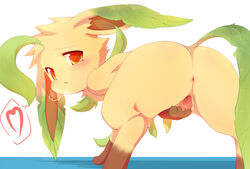 eeveelution from nintendo by syuya